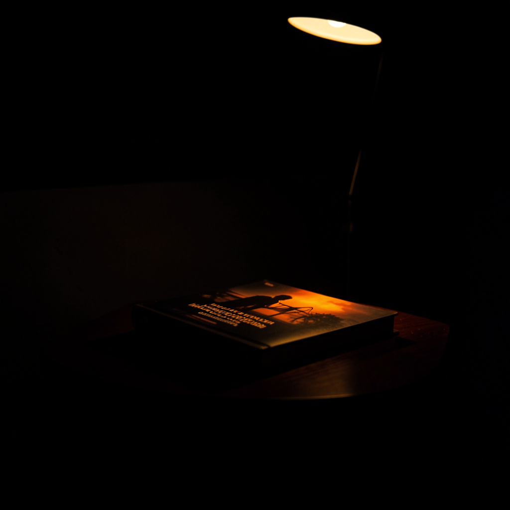A dark, low-key photograph of a legal thriller book on a side table, deep shadows across the room with a single lamp casting warm light on the cover.